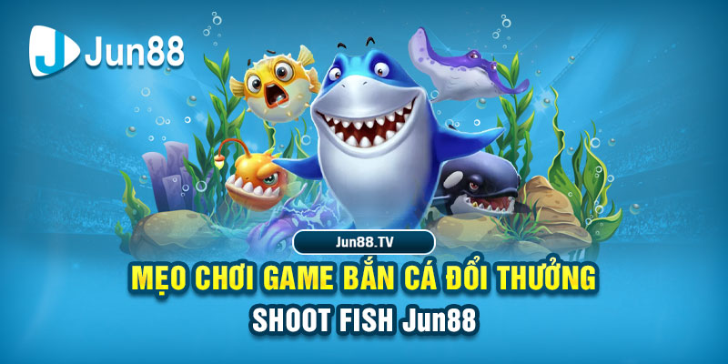 nohu28 tai game danh bai bigkool ve may tinh