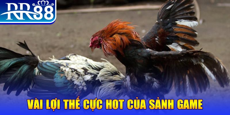 nohu28 nổ hủ là trò gì