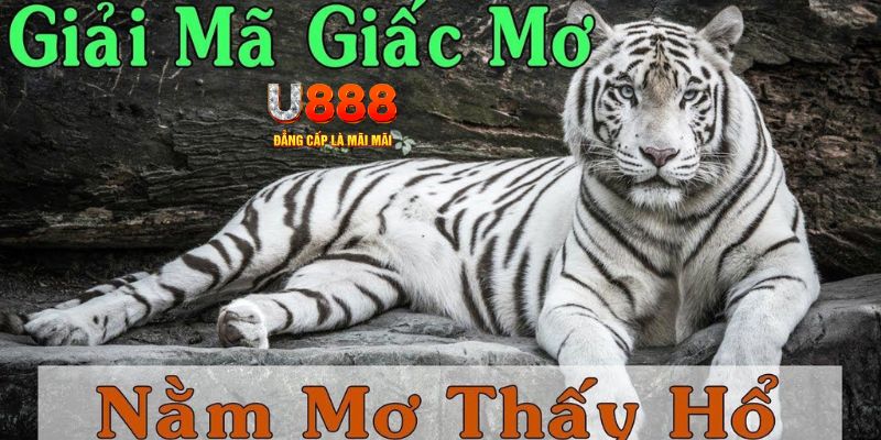 nohu28 xổ số kiến thiết miền bắc