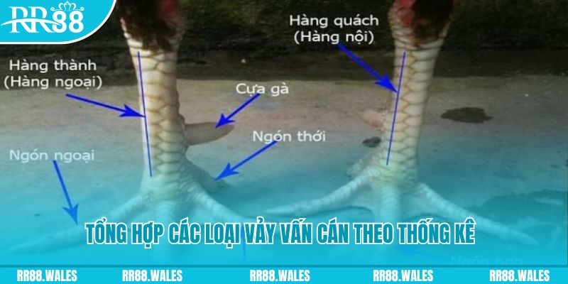 nohu28 nổ hũ chơi như thế nào