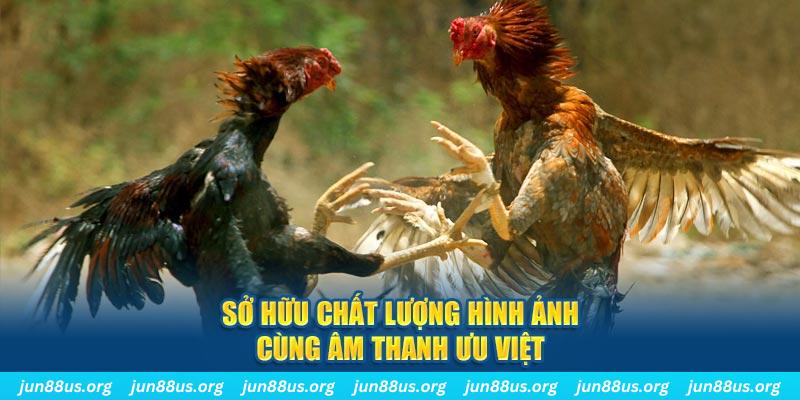 nohu28 tai game danh bai ve may tinh