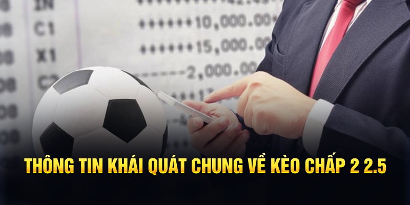 nohu28 đá gà trực tiếp 88