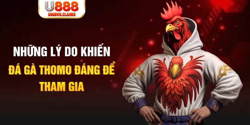 nỗ hũ là gì