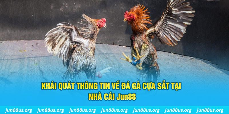 nohu28 game bài trên máy tính
