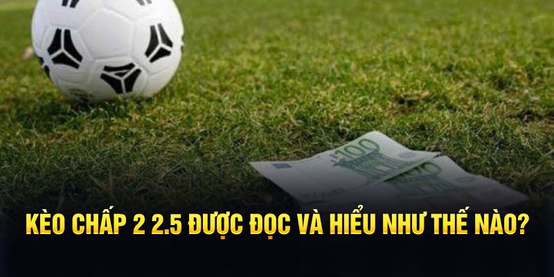 nohu28 đá gà thomo