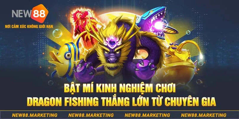nohu28 who wants to be a millionaire slot