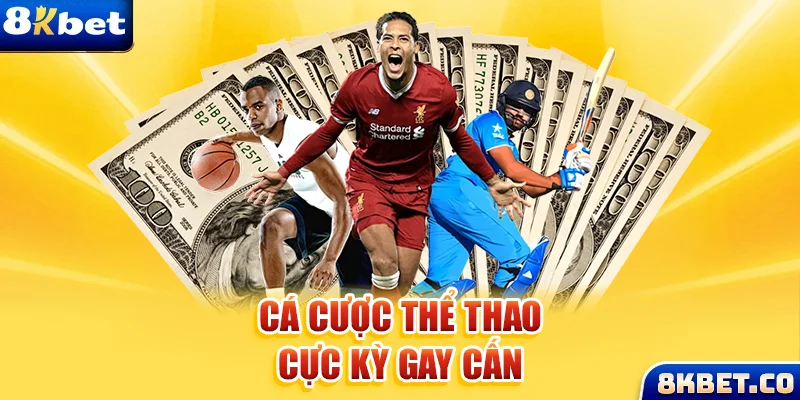 nohu28 Bữa tiệc dành cho thanh thiếu niên